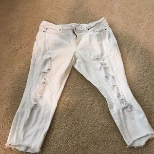 Torrid distressed jeans